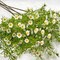 192 Blooms Artificial Daisy Flowers, 27.5" White Daisy Artificial Flowers,6Pcs Realistic Fake Daisies,Fake Spring Flowers,Faux Flowers for Vase Wedding Party Home Decor